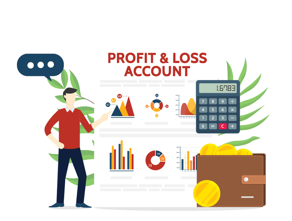 Profit And Loss Account